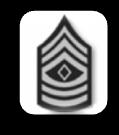 Sergeant (SGT) Sergeants are normally in charge of a team (3 to 4 Soldiers).