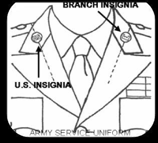 Figure A- 10. U.S and Branch Insignia, Enlisted Male g. Female-U.S. and branch insignia (1) During initial-entry training, females will wear the "U.S." insignia on both collars.