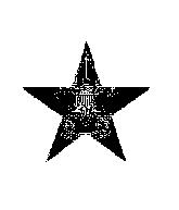 Star Rank With the Star rank, emphasis is placed upon service to others, merit badges, and leadership.