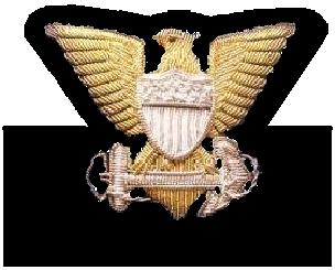 cap devices warrant officer either bullion