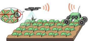 AGRICULTURE Flourish: aerial data collection and automated ground