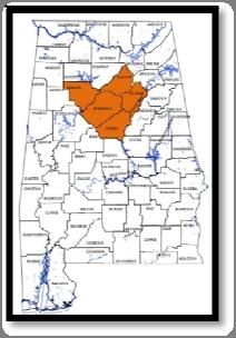 Healthcare Associated Infections in Alabama 2012 32 BIRMINGHAM REGION Alabama Surgical Site Infections (SSI) Colon Surgeries Procedures Number of SSI Infections (SIR) Low Volume Hospitals (fewer than