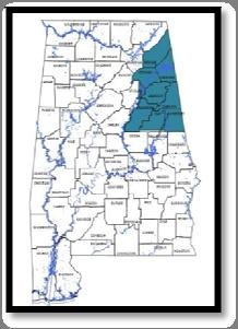 Healthcare Associated Infections in Alabama 2012 42 NORTHEAST REGION Alabama Surgical Site Infections (SSI) Abdominal Hysterectomies Procedures Number of SSI Infections (SIR) Hospital Low Volume