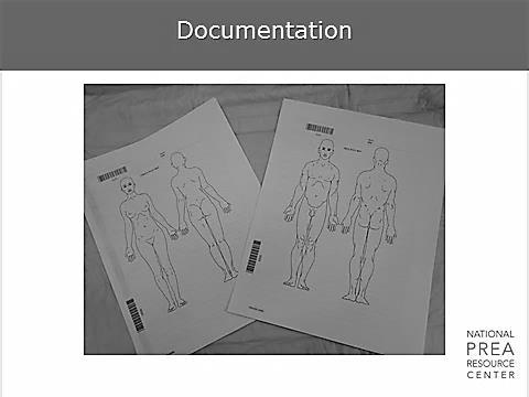 2 min Documentation Documentation This page includes the male and female anatomy and all injuries should be documented on the appropriate chart.