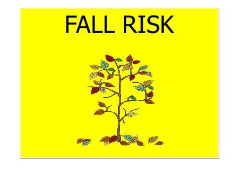 Fall Prevention Page 9 of 9 Signage for fall risk patients: Selected References: 1. Morse, J. (2008). Preventing Patient Falls. 2 nd ed. Springer. 2. National Center for Patient Safety: Fall Prevention and Management 3.