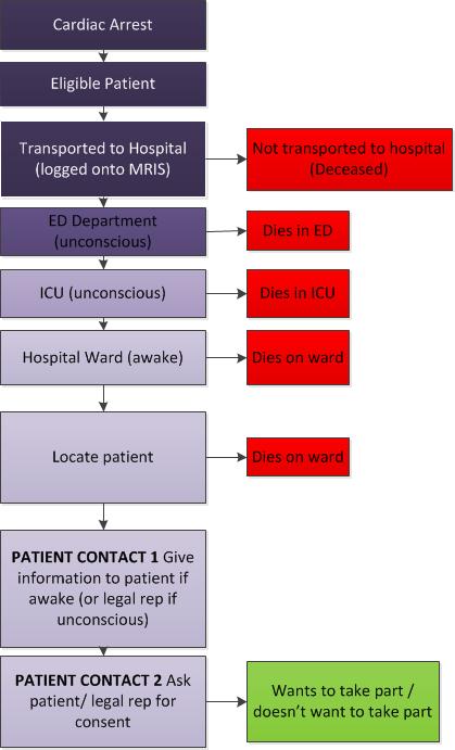 What happens when the patient goes into hospital? The flow chart below shows the steps that will occur. We (the Trial Team) will track the patient in hospital and check what their outcome is.