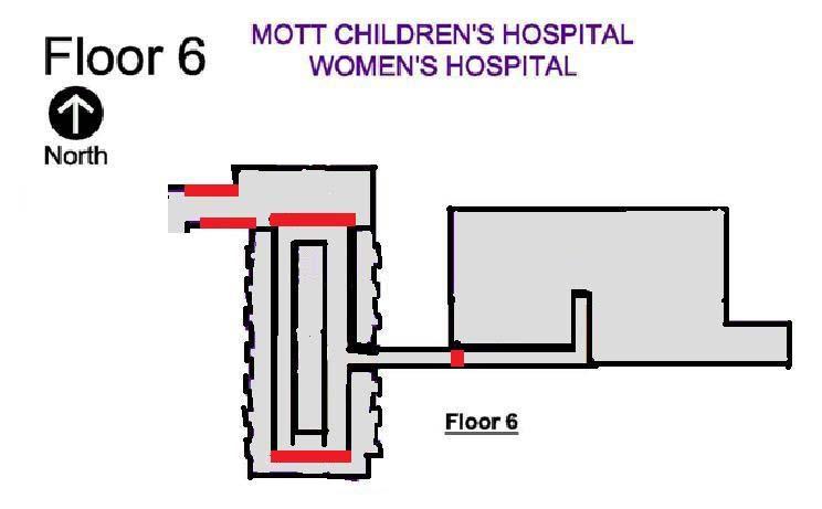 Figure 17: Parent Information Card-Front Side The back of the card will read: Alarms will sound if you take any Hugs patient near the areas highlighted on the flip side of this card.