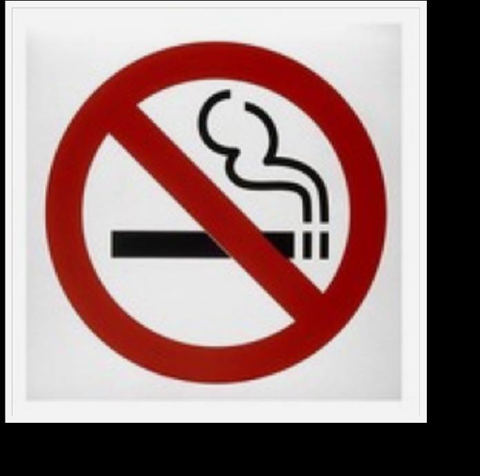 No smoking before or during clinical hours;