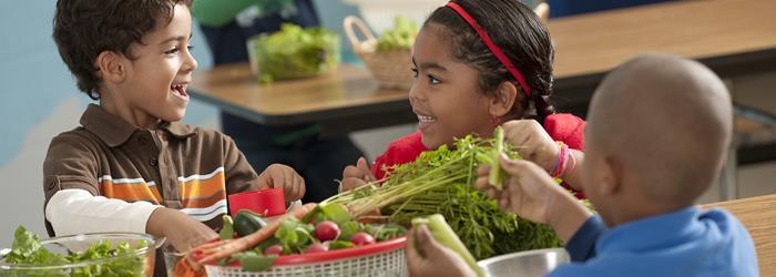 School Nutrition Programs Administrative Handbook Illinois State Board of Education Nutrition and