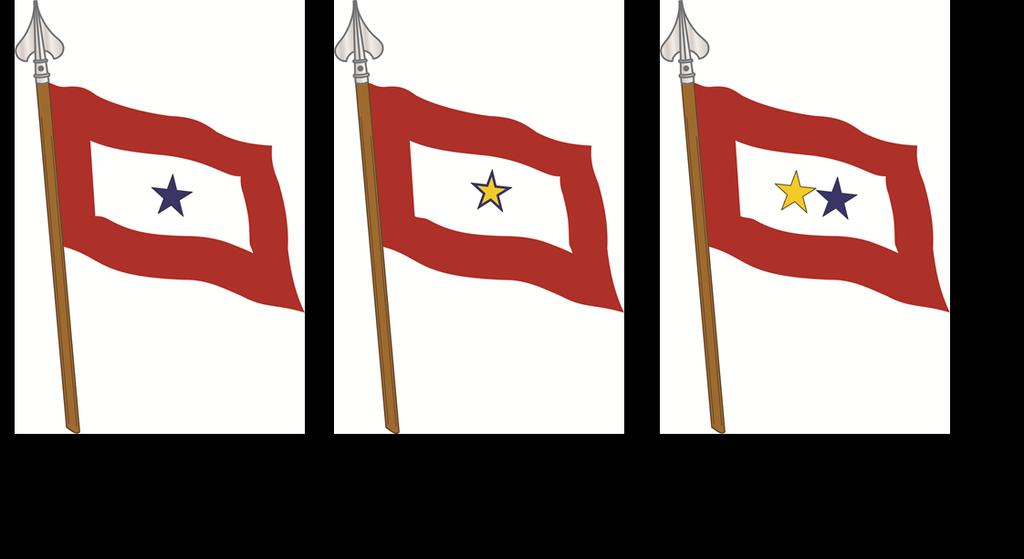Figure 2: Immediate Family Service Flag, Horizontal Position Figure 3: Immediate