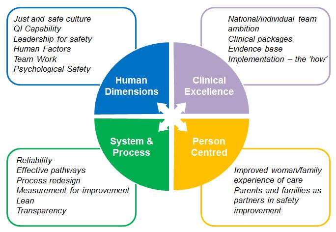 Maternity Safety Maternal and Neonatal Safety Collaborative Programme Ambition Human Dimensions Build an infrastructure to support quality improvement Create a culture of safety Increasing the