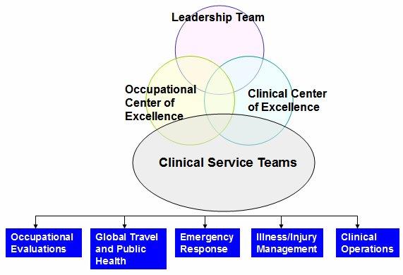 MEDICINE & OCCUPATIONAL HEALTH Address clinical service delivery issues Utilize global personnel with expertise/interest in specific areas Have ongoing responsibility