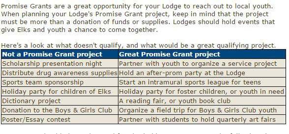 Promise Grant In 2015-16, Promise Grants will be worth $2,500 Updated Guidelines: Grants cannot be used to fund scholarships, Hoop
