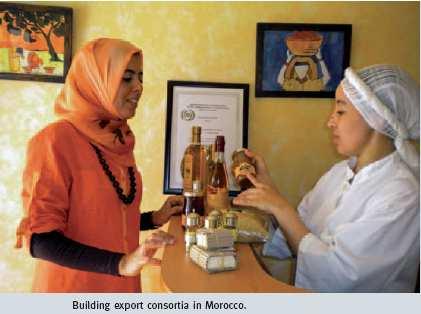 Morocco: EXPORT CONSORTIA National ownership and PPP for Market Access Morocco now Morocco project beginning No support scheme for export consortia Budget of approx.