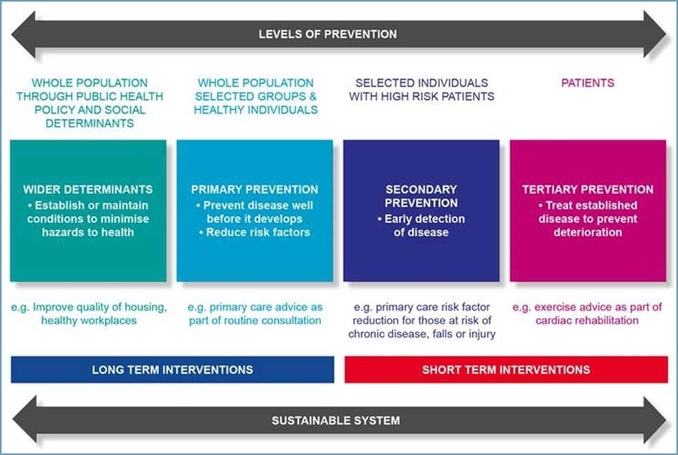 Our prevention plan focuses on interventions and system change across the whole spectrum of prevention (exhibit 5), where there is strong evidence of effectiveness and return on investment within the