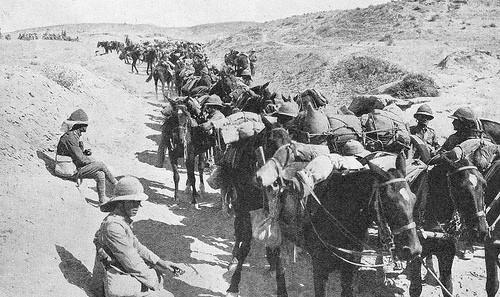 The British had occupied the oilfields of Mesopotamia in 1914, taking control of the pipeline near Basra. They had then made a push to seize the strategically important river junction at Qurna.