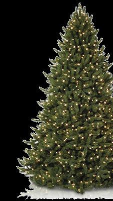 Trees for Troops Free Christmas Trees for Airman E-5 and Below *Or any member who may be in need 914th Call 236-2097 Pick Up is 107th