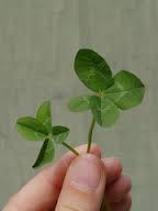 Conclusion clover The system is focused on guaranting genuine products, preventing counterfeit,