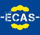 PP private access: ECAS login! What is ECAS?