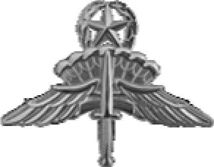 Pathfinder Badge Military