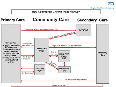 APPENDIX 5 An illustration of the new Community Chronic Pain service pathway The pathway above ensures that patients with chronic pain have a single point of access to the new Pain service, and a
