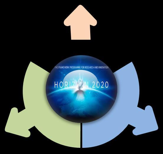 MSCA in Horizon 2020 Programme Horizon 2020: 2014-2020 Excellent Science Science in world standards Advanced research studies Access to best
