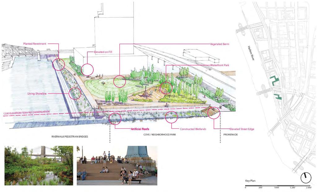 Edge Strategy Constructed Wetlands / Pedestrian