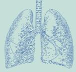 Pulmonary Critical Care CRITICAL CARE CLINICIANS KNOWLEDGE OF EVIDENCE-BASED GUIDELINES FOR PREVENTING VENTILATOR-ASSOCIATED PNEUMONIA By Mohamad F.