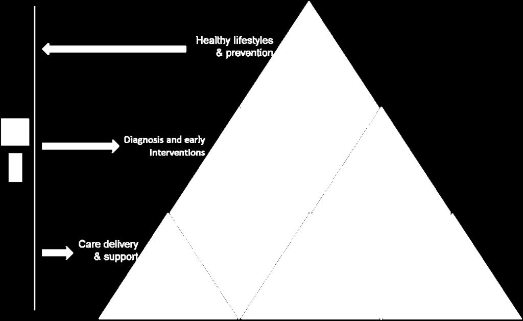 Figure 4: Features of the ideal model for integration between health and social care of services for diabetes 5.