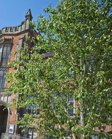 As a UK top 20 leading research-intensive institution, Newcastle University holds one of the largest EU research portfolios in the country.