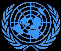 PUBLIC ORDER MANAGEMENT UN Peacekeeping PDT