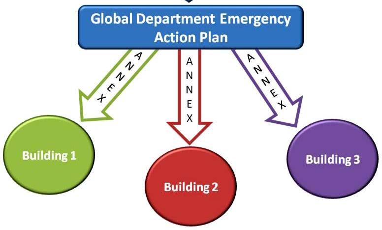 Create a departmental Emergency Action Plan