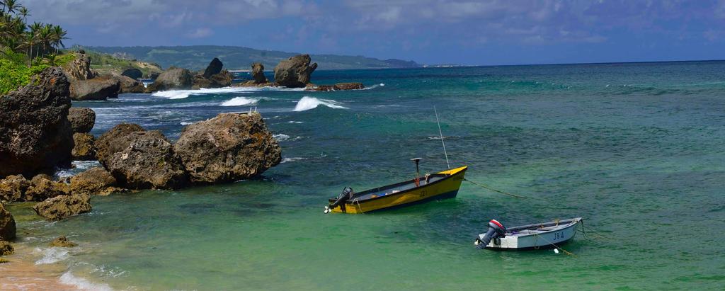 Fishing boats at anchor in Barbados, location of the 67th GCFI. Photo: R.