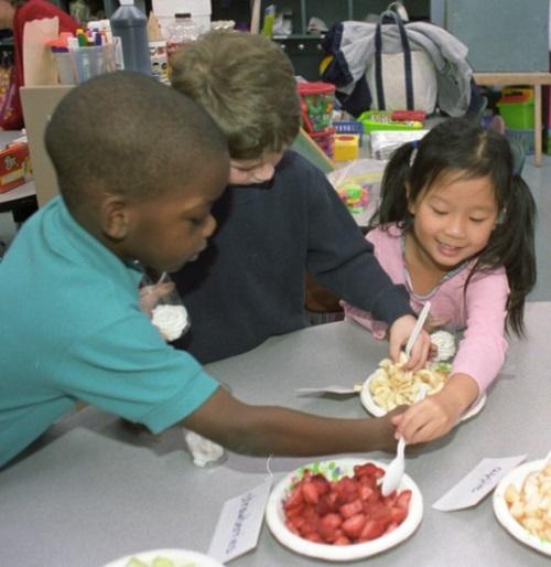 Additionally, in order to participate in the School Meal Programs, program operators must comply with the USDA regulation Non Discrimination on the Basis of Handicap in Programs or Activities