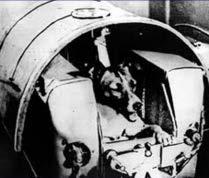 another satellite carrying a dog, Laika,