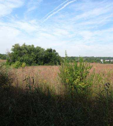 St. Charles County Parks Native habitat restoration Converting crop field to