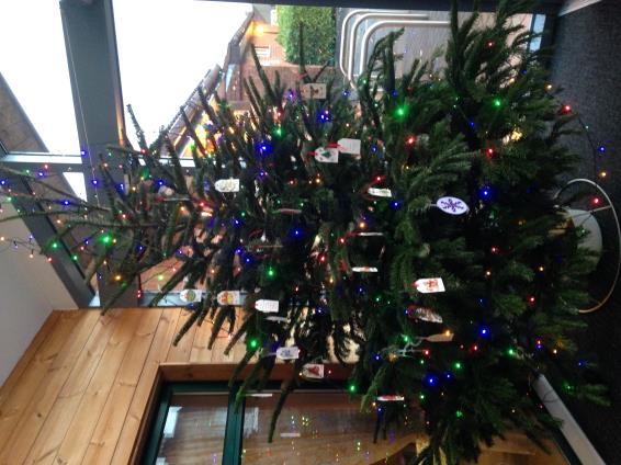 Remembrance Tree As part of the Gold Standard Framework initiative at Robinson House we celebrate Remembrance - especially over the Festive period.