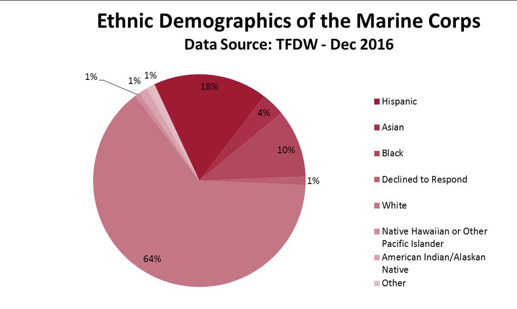 Minority representation within the Marine Corps compared to 1995. 1 The percentages of ethnic minorities are: Hispanic: 17.