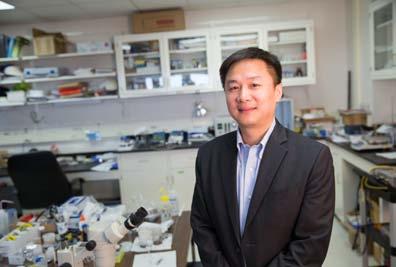 Dr. Junhong Chen NanoAffix Science LLC. Dr.