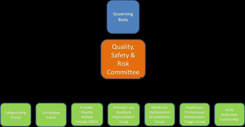 4 Delivering the Strategy 4.1 Governance This strategy is owned by the Quality Safety and Risk (QSR) Committee of Newcastle Gateshead CCG and meets bi-monthly.