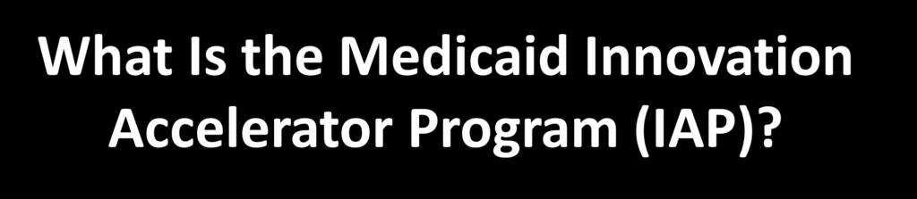 What Is the Medicaid Innovation Accelerator Program (IAP)?