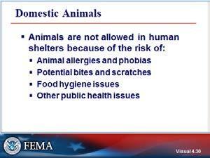 REQUIREMENTS FOR DOMESTIC ANIMALS Recalling from Unit Three the evacuation behavior of owners of domestic animals, what factors related to pets should be considered in an evacuation plan?