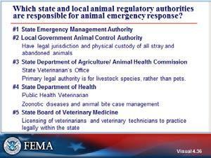 35 Post-Katrina Emergency Management Reform Act (PKEMRA) Service Animal.