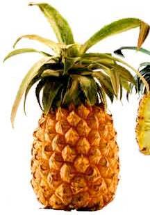 15 Dietary Allergy Events With harm: Description: The patient is allergic to pineapples.