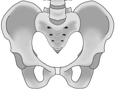 PATIENT CONSENT TO PELVIC LANDMARK HIP AND THIGH BONE EVALUATION You are scheduled to receive a Manual Therapy exam conducted by Jerry Hesch, MHS, PT, DPT(s), developer of the Hesch Method of Manual