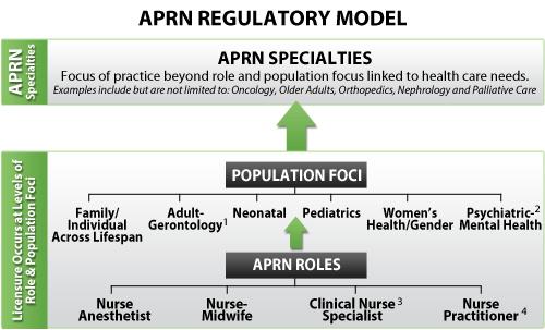 APRN Regulatory Model