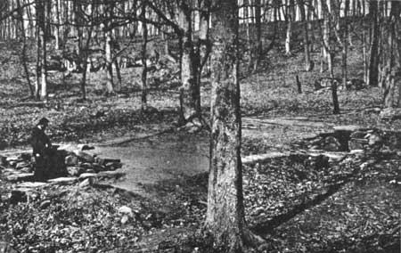 Spangler's Spring, the right of the Federal battle line, July 2 and 3. This Tipton photograph shows the wartime appearance of the spring.