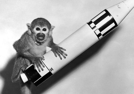 Who were the Flying Monkeys? The first ever primate astronaut was Albert, a rhesus monkey.