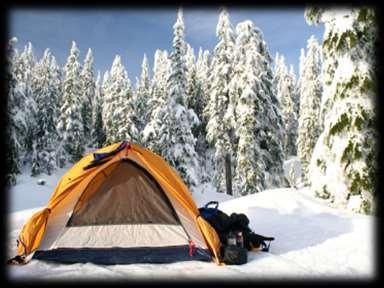 Winter Survival Skills 2017 White River Trails District Winter Camporee Martin State Forest, 14040 Williams Road, Shoals, Indiana 47581 Friday, February 10 th Sunday, February 12 th, 2017 Vigorous
