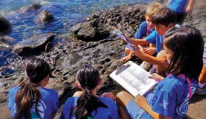 An educational orientation with the Hanauma Bay Education Program provides learners with answers to questions about Hanauma Bay s marine life and stewardship, as well as additional information about